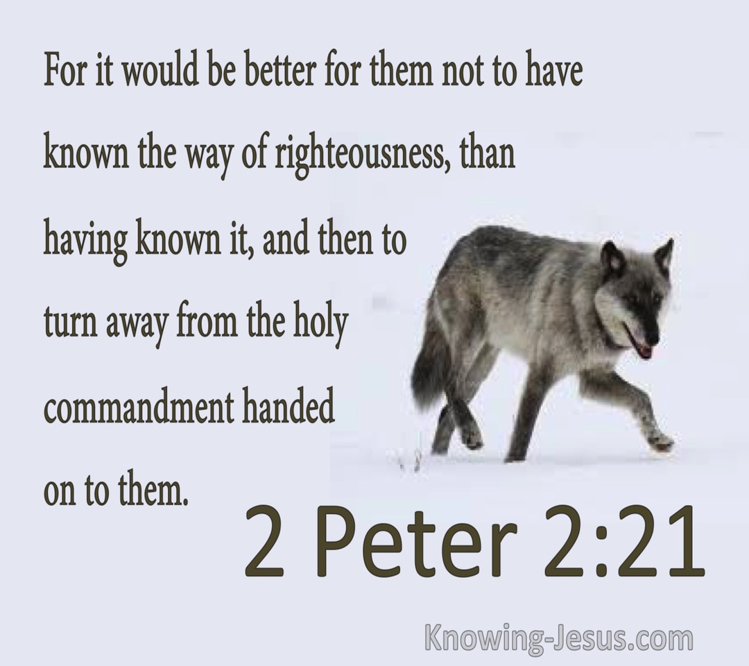 2 Peter 2:21 Better Not To Have Known Way Of Righteousness (gray)